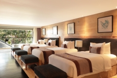 Quad Whirlpool Suite Room